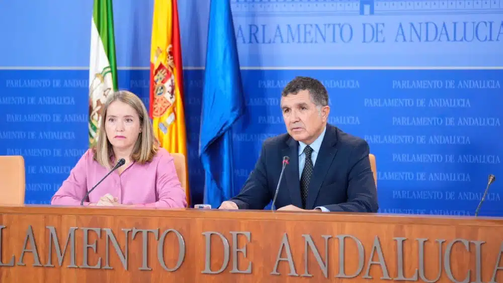 Los parlamentarios del PSOE-A Alicia Murillo y Gaspar Llanes, en rueda de prensa en el Parlamento andaluz. - JOAQUÍN CORCHERO/EUROPA PRESS