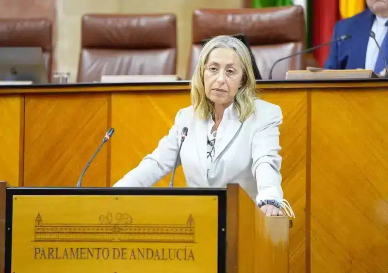 La consejera de Salud y Consumo, Rocío Hernández, comparece en el Pleno del Parlamento andaluz. - JOAQUÍN CORCHERO/PARLAMENTO DE ANDALUCÍA