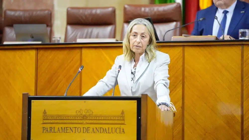 La consejera de Salud y Consumo, Rocío Hernández, comparece en el Pleno del Parlamento andaluz. - JOAQUÍN CORCHERO/PARLAMENTO DE ANDALUCÍA