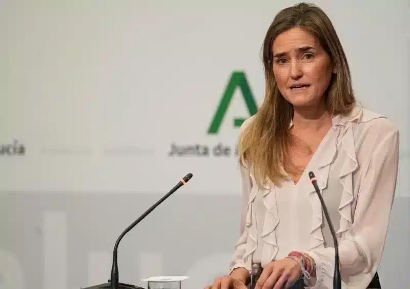 La vicepresidenta del Gobierno y ministra para la Transición Ecológica y el Reto Demográfico, Sara Aagesen, en la rueda de prensa en el Palacio de San Telmo tras la reunión con el presidente de la Junta. - FRANCISCO J.OLMO-EUROPA PRESS