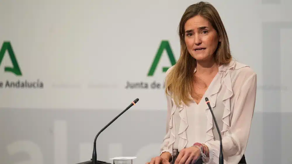 La vicepresidenta del Gobierno y ministra para la Transición Ecológica y el Reto Demográfico, Sara Aagesen, en la rueda de prensa en el Palacio de San Telmo tras la reunión con el presidente de la Junta. - FRANCISCO J.OLMO-EUROPA PRESS