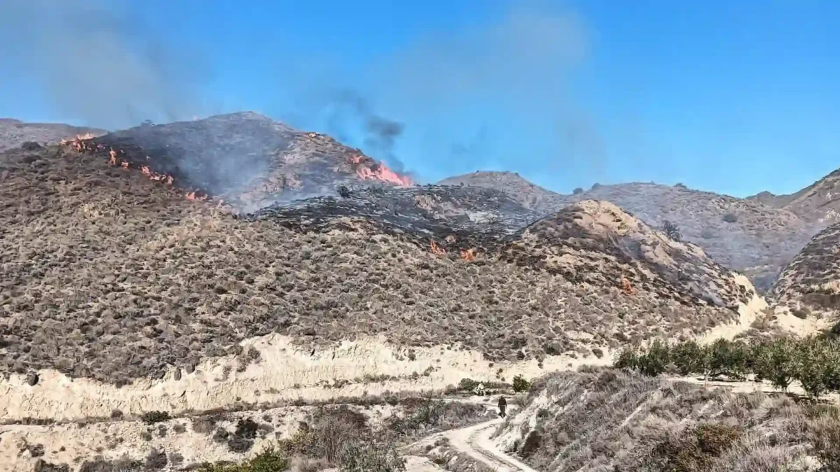 Incendio en el paraje El Saltador Alto de Carboneras (Almería). - INFOCA