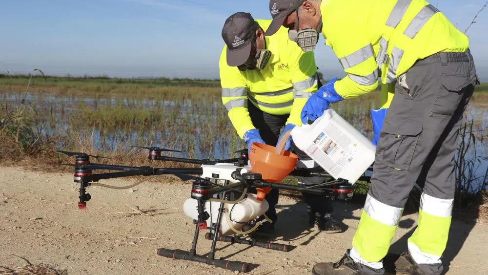 Un dron interviene en la campaña para el tratamiento contra los mosquitos que propagan el Virus del Nilo Occidental (VNO) sobre un arrozal. Archivo Rocío Ruz